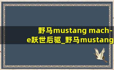 野马mustang mach-e跃世后驱_野马mustang mach-e